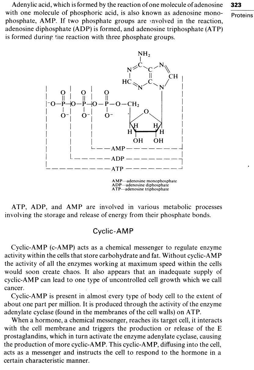 chem-3.gif (100854 bytes)