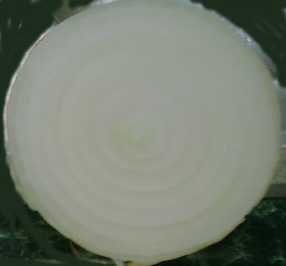 onion.jpg (3927 bytes)