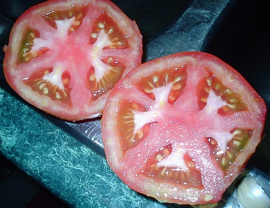 tomato-01.jpg (216617 bytes)